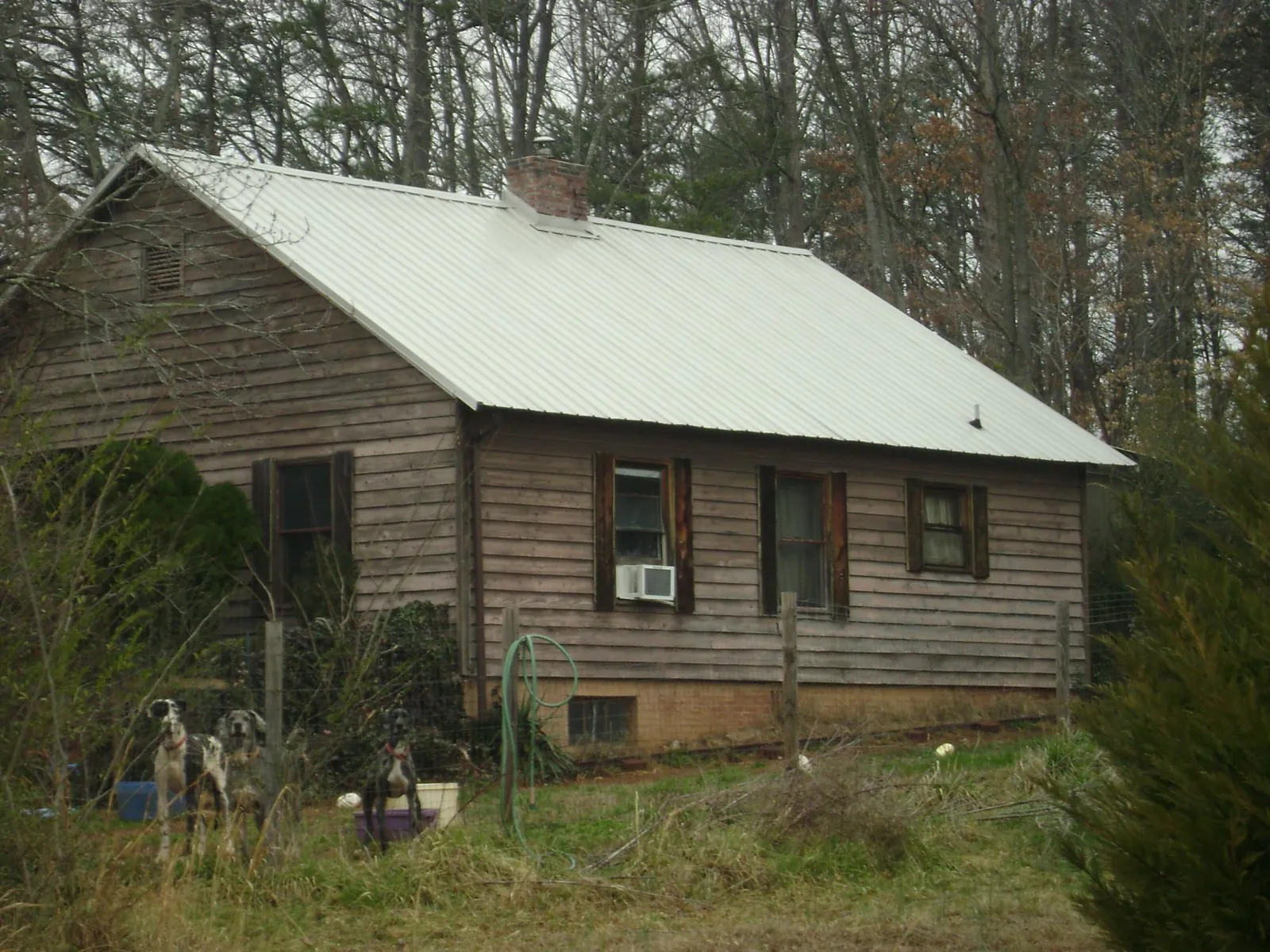 White metal roof on an old wood sided farmhouse, from a Asphalt Shingle Roof Repair job in Graham